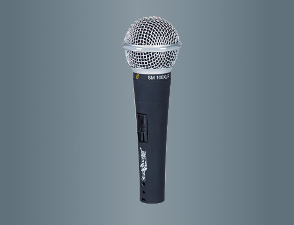 Best Line Array Speaker System